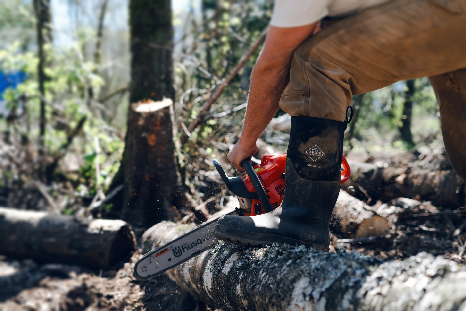 Master the Elements in Comfort